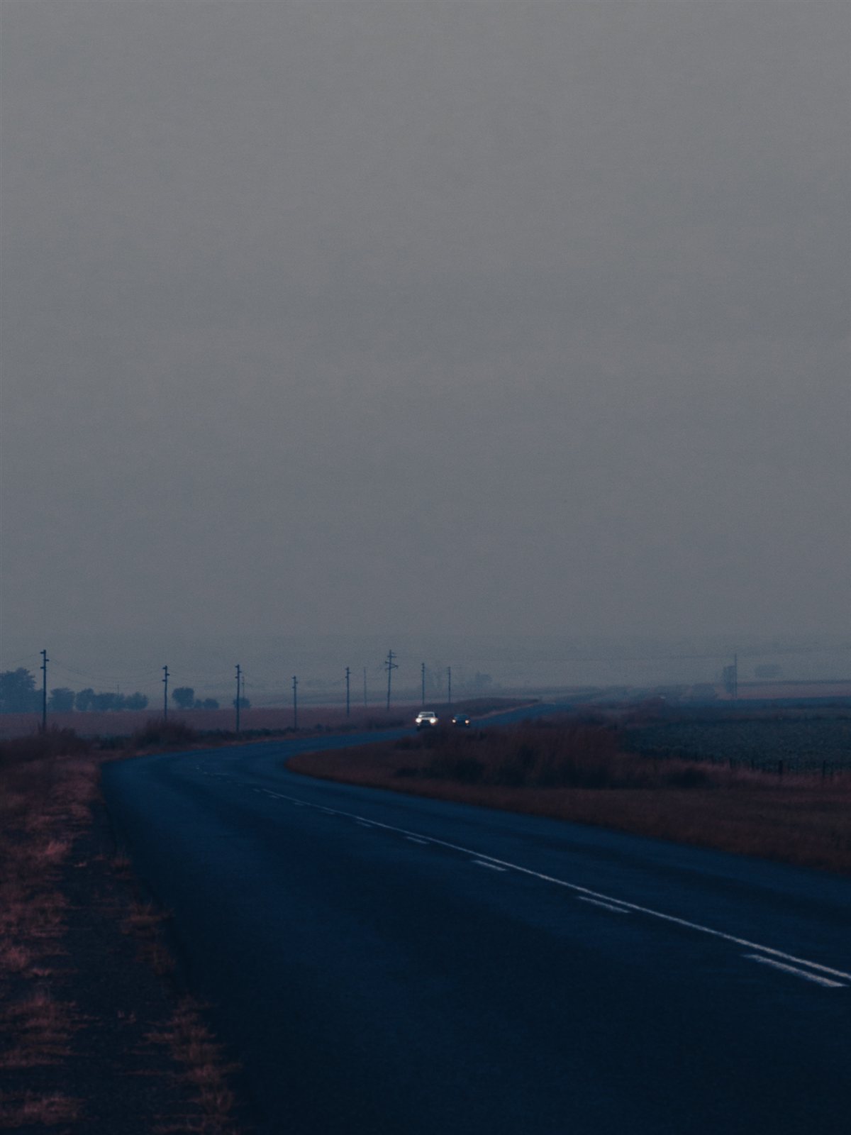 Moody Standerton landscape